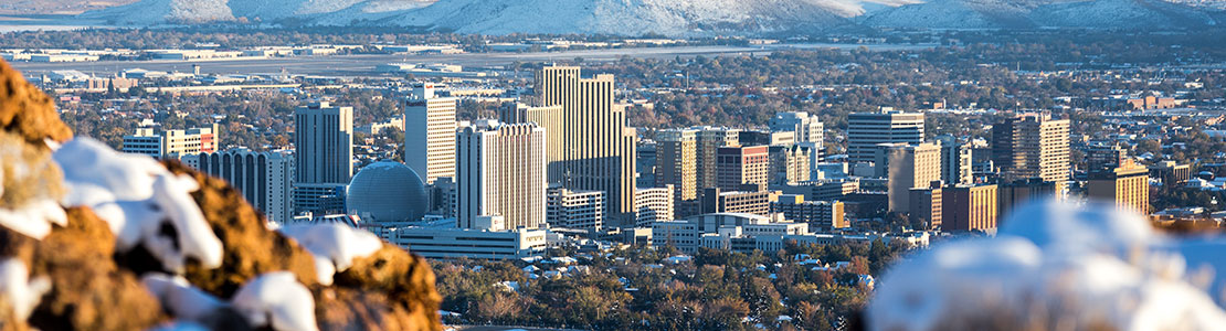 Business For Sale Reno Nevada